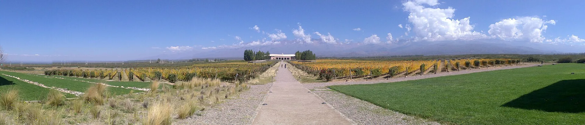 Jours 11 à 13 : Mendoza et ses vignobles