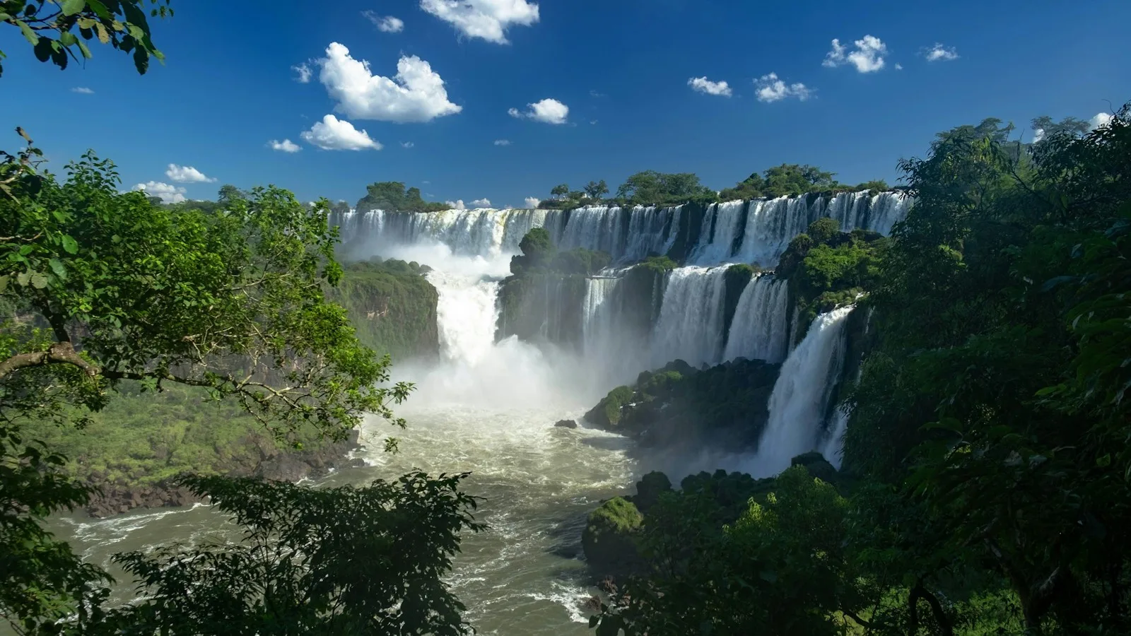 Les chutes d'Iguazú entourées de forêt subtropicale